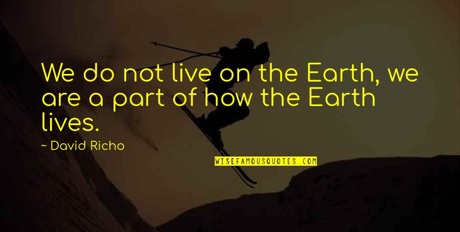 Experience Shaping You Quotes By David Richo: We do not live on the Earth, we