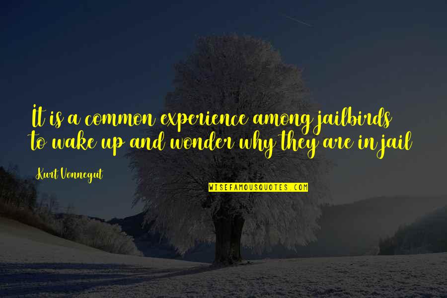 Experience The Wonder Quotes By Kurt Vonnegut: It is a common experience among jailbirds to