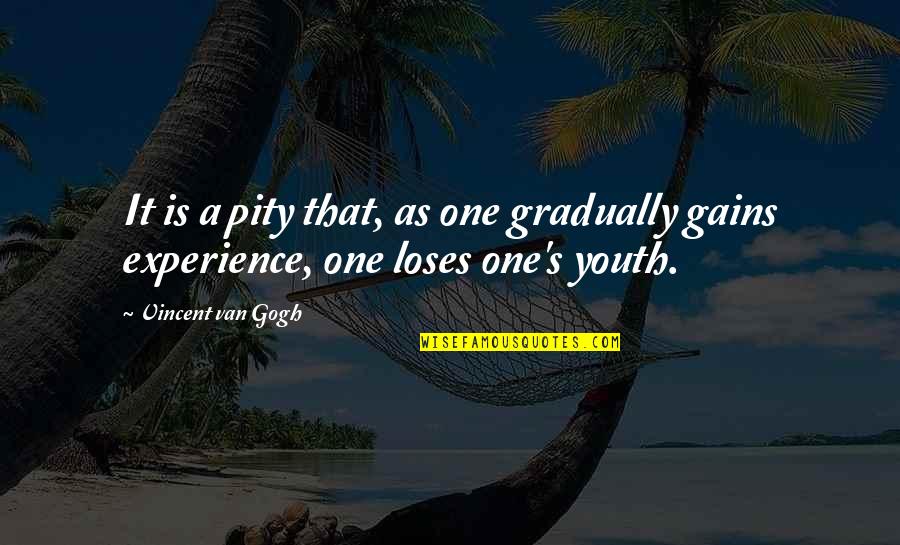 Experience Vs Youth Quotes By Vincent Van Gogh: It is a pity that, as one gradually