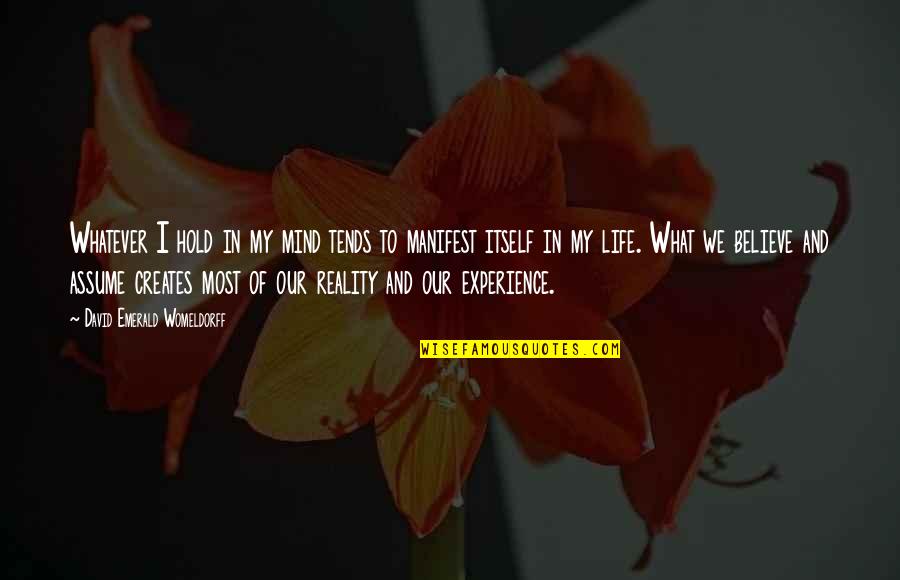 Experience What Life Quotes By David Emerald Womeldorff: Whatever I hold in my mind tends to Experience What Life Quotes By David Emerald Womeldorff: Whatever I hold in my mind tends to
