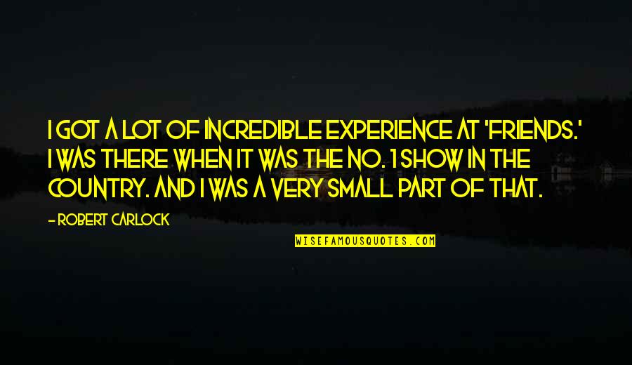 Experience With Friends Quotes By Robert Carlock: I got a lot of incredible experience at