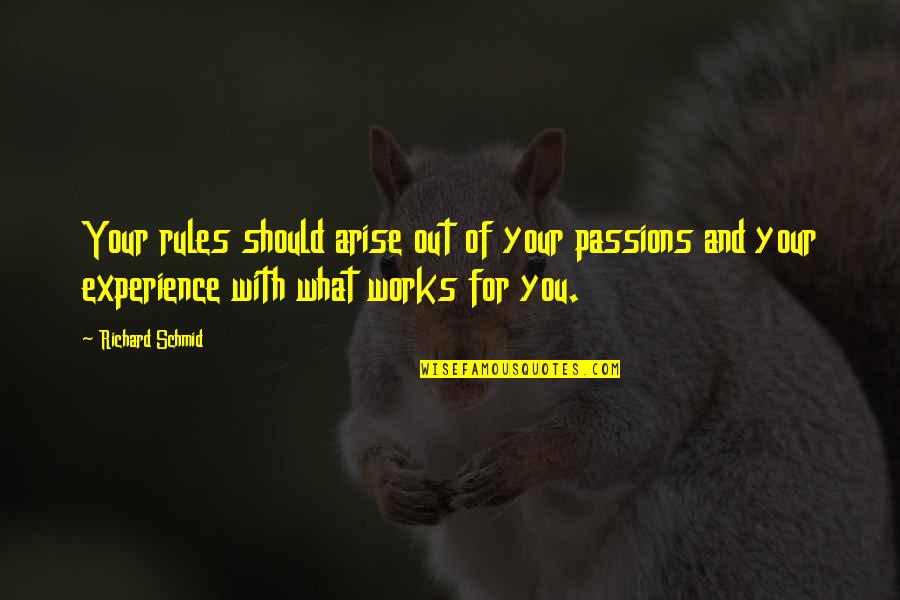 Experience With Quotes By Richard Schmid: Your rules should arise out of your passions