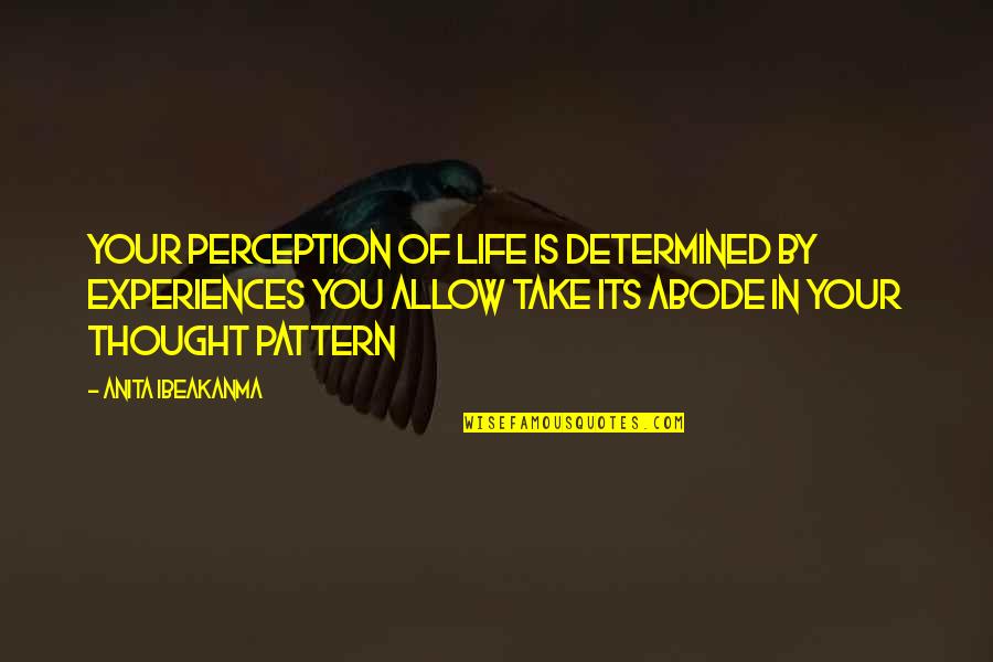 Experiences And Lessons Quotes By Anita Ibeakanma: Your perception of life is determined by experiences