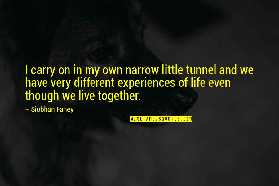 Experiences And Life Quotes By Siobhan Fahey: I carry on in my own narrow little