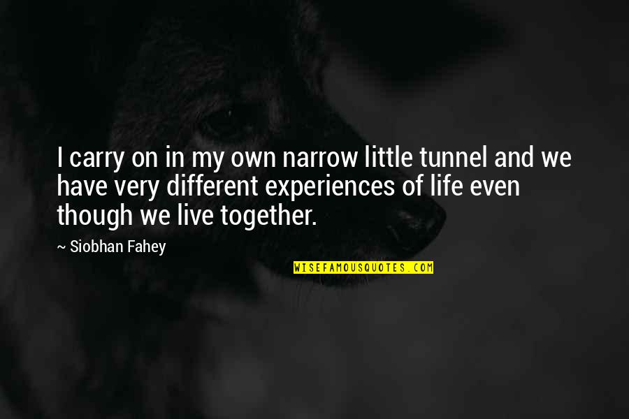 Experiences In Life Quotes By Siobhan Fahey: I carry on in my own narrow little