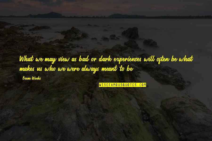 Experiences Quotes Quotes By Beem Weeks: What we may view as bad or dark