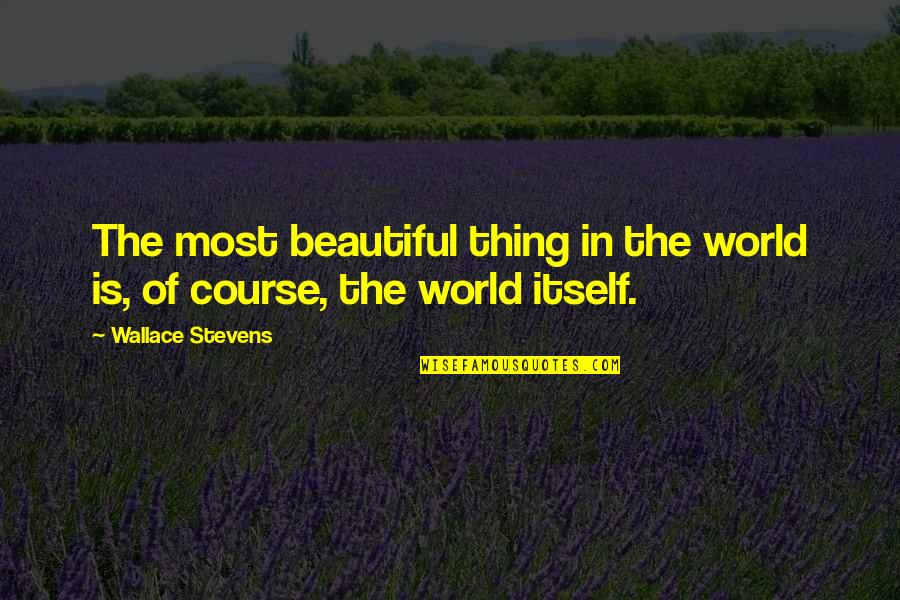 Experiencing Happiness Quotes By Wallace Stevens: The most beautiful thing in the world is, Experiencing Happiness Quotes By Wallace Stevens: The most beautiful thing in the world is,