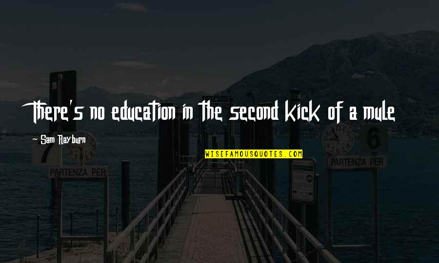 Experiencing Other Cultures Quotes By Sam Rayburn: There's no education in the second kick of