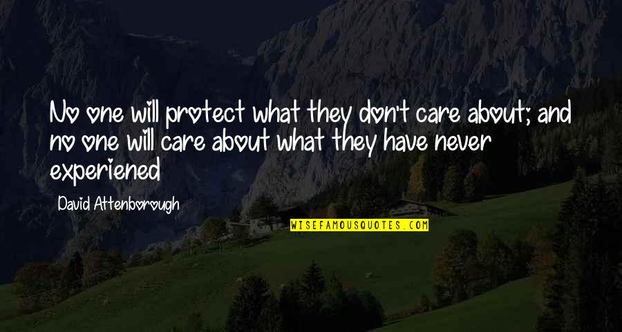 Experiened Quotes By David Attenborough: No one will protect what they don't care