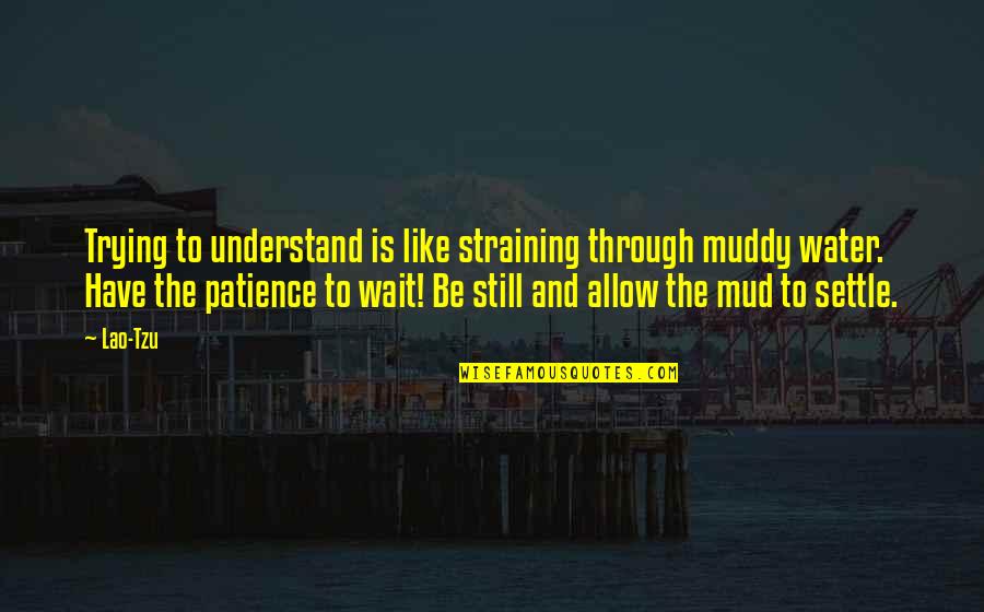 Experimentado Significado Quotes By Lao-Tzu: Trying to understand is like straining through muddy