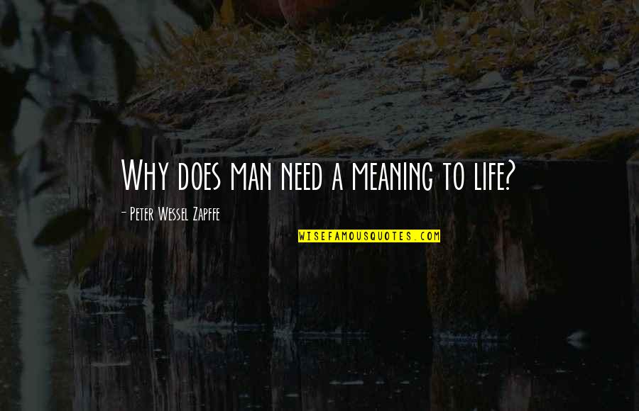 Experimentado Sinonimo Quotes By Peter Wessel Zapffe: Why does man need a meaning to life?