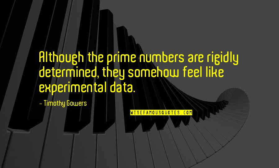 Experimental Quotes By Timothy Gowers: Although the prime numbers are rigidly determined, they