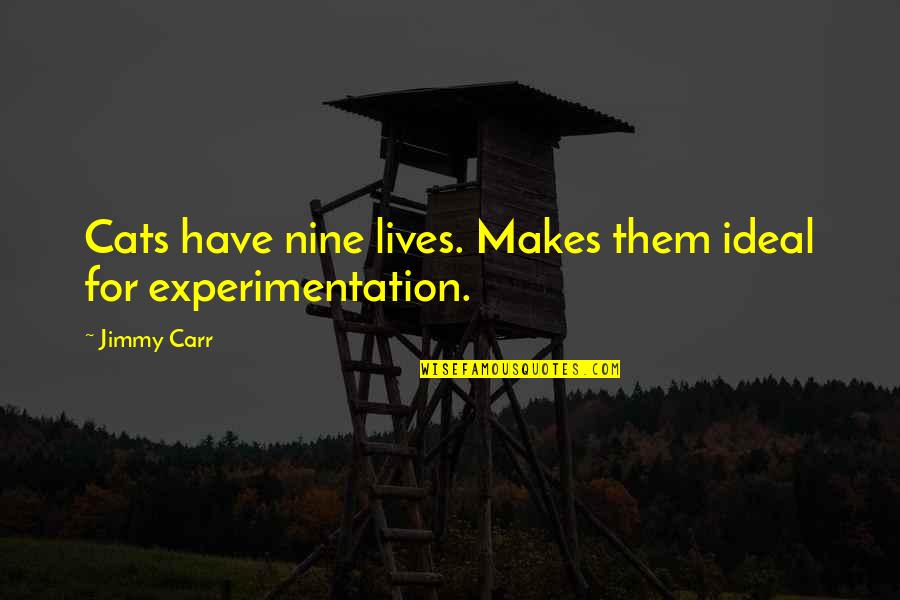 Experimentation Quotes By Jimmy Carr: Cats have nine lives. Makes them ideal for