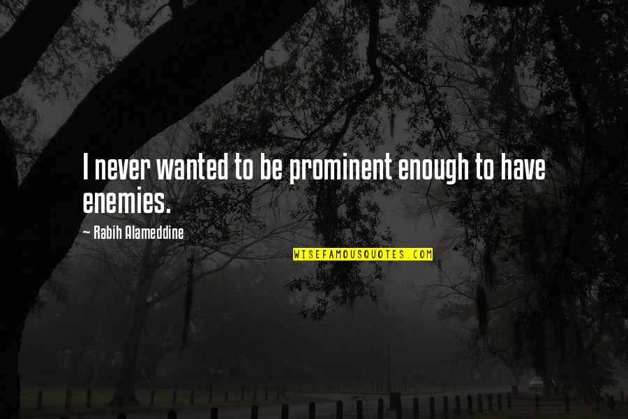 Expert At Cajoling Quotes By Rabih Alameddine: I never wanted to be prominent enough to Expert At Cajoling Quotes By Rabih Alameddine: I never wanted to be prominent enough to