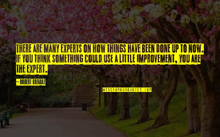 Expert At Something Quotes By Robert Breault: There are many experts on how things have