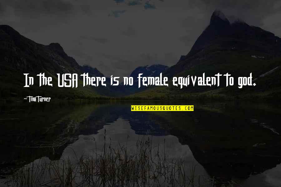 Experty Quotes By Tina Turner: In the USA there is no female equivalent Experty Quotes By Tina Turner: In the USA there is no female equivalent