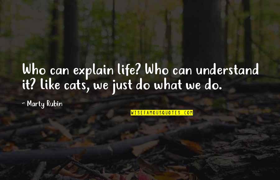 Explain Life Quotes By Marty Rubin: Who can explain life? Who can understand it?