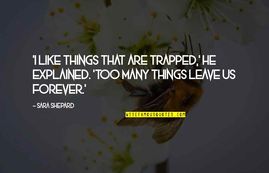 Explained Quotes By Sara Shepard: 'I Like things that are trapped,' he explained.