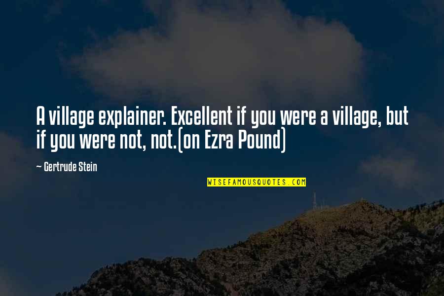 Explainer Quotes By Gertrude Stein: A village explainer. Excellent if you were a