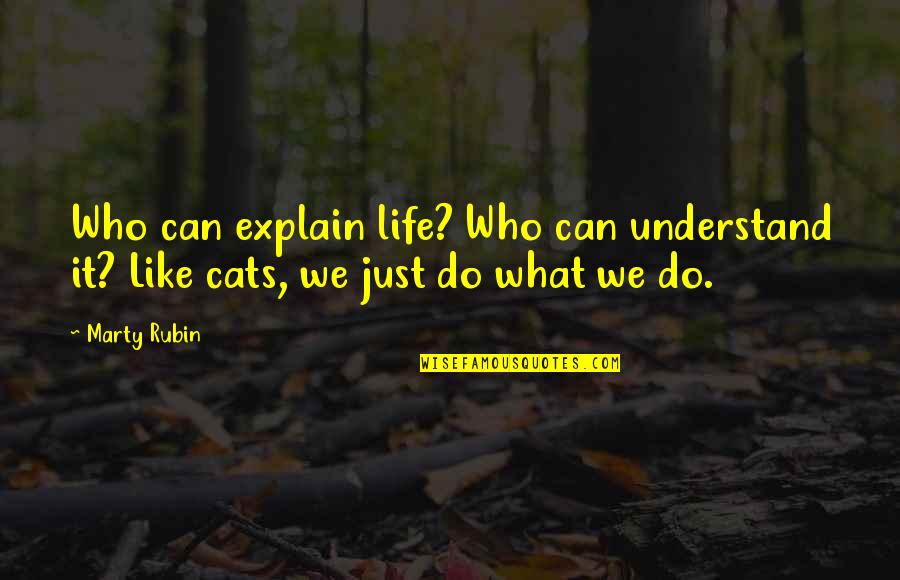 Explanations Quotes By Marty Rubin: Who can explain life? Who can understand it?