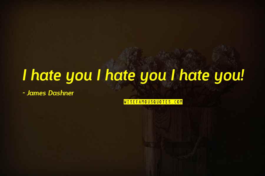 Explayarse Quotes By James Dashner: I hate you I hate you I hate