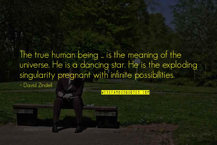 Exploding Star Quotes By David Zindell: The true human being ... is the meaning