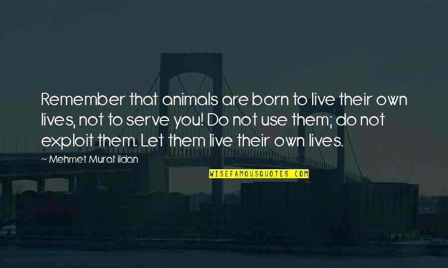 Exploit Quotes By Mehmet Murat Ildan: Remember that animals are born to live their