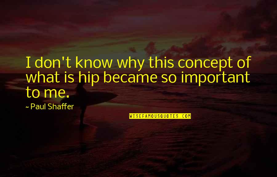 Exploitation Of Workers Quotes By Paul Shaffer: I don't know why this concept of what