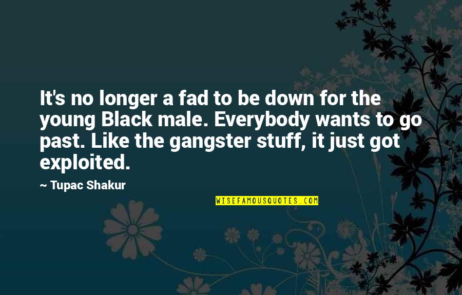 Exploited Quotes By Tupac Shakur: It's no longer a fad to be down