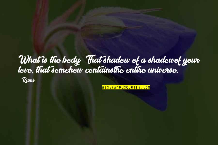 Exploring The World Tumblr Quotes By Rumi: What is the body? That shadow of a
