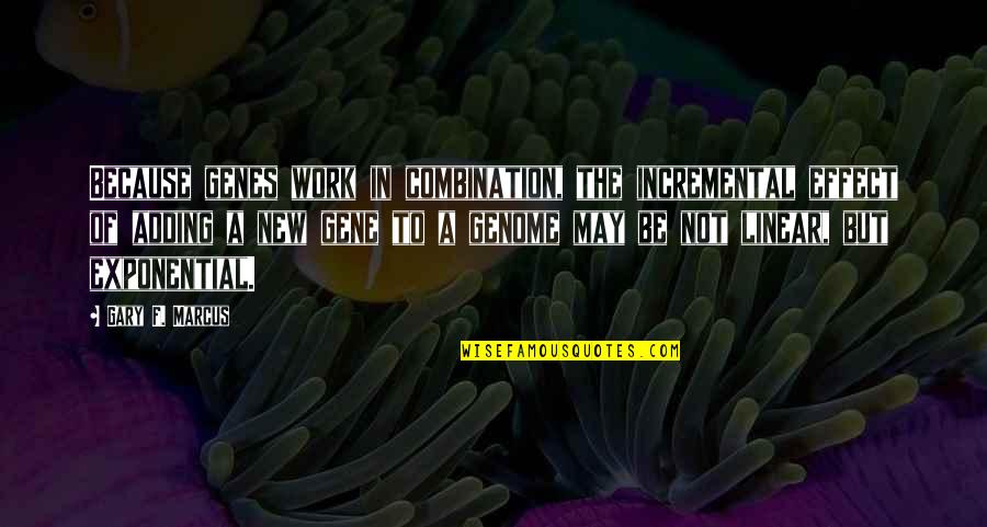 Exponential Quotes By Gary F. Marcus: Because genes work in combination, the incremental effect