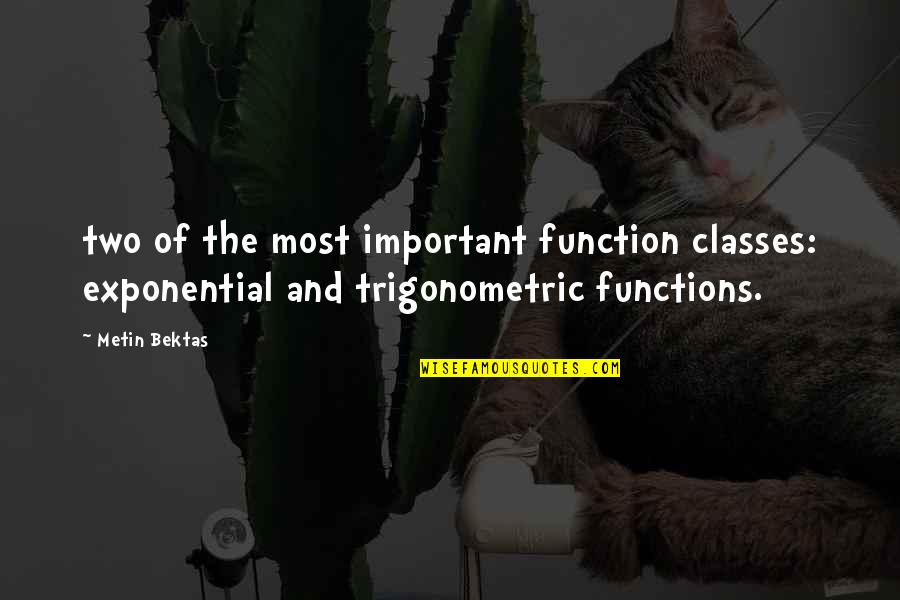 Exponential Quotes By Metin Bektas: two of the most important function classes: exponential