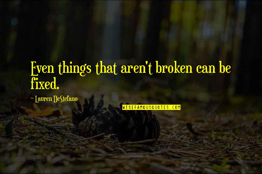 Expounder Ministries Quotes By Lauren DeStefano: Even things that aren't broken can be fixed.