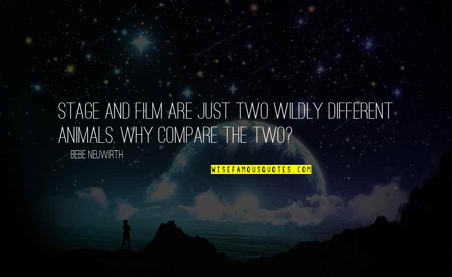 Express My Vulnerabilities Quotes By Bebe Neuwirth: Stage and film are just two wildly different