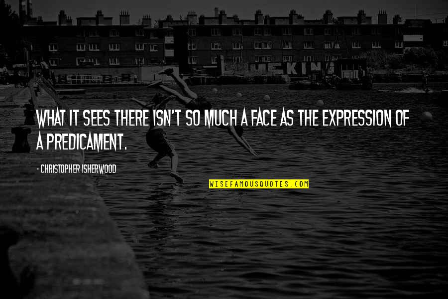 Expression Face Quotes By Christopher Isherwood: What it sees there isn't so much a