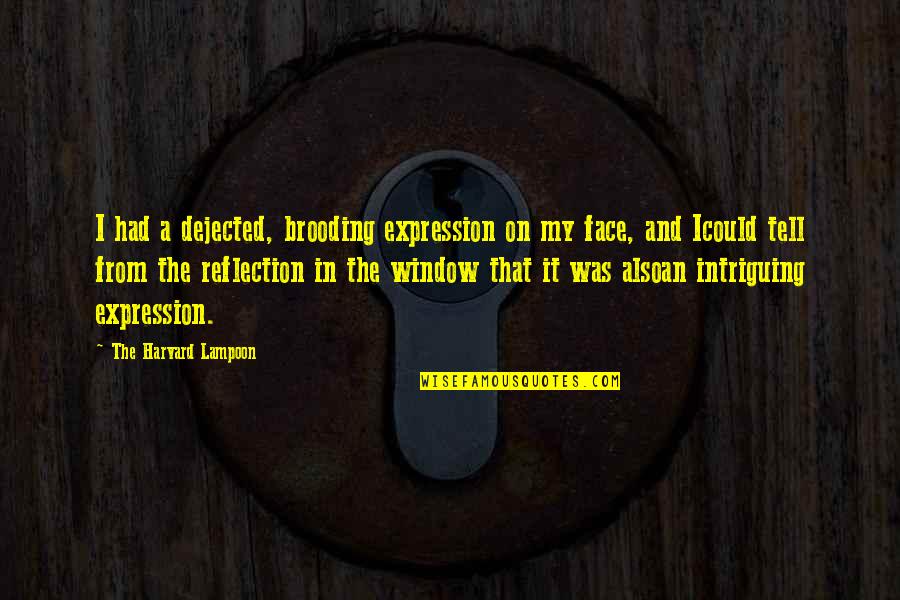 Expression Face Quotes By The Harvard Lampoon: I had a dejected, brooding expression on my