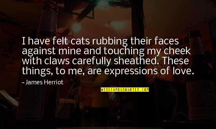 Expressions Quotes By James Herriot: I have felt cats rubbing their faces against