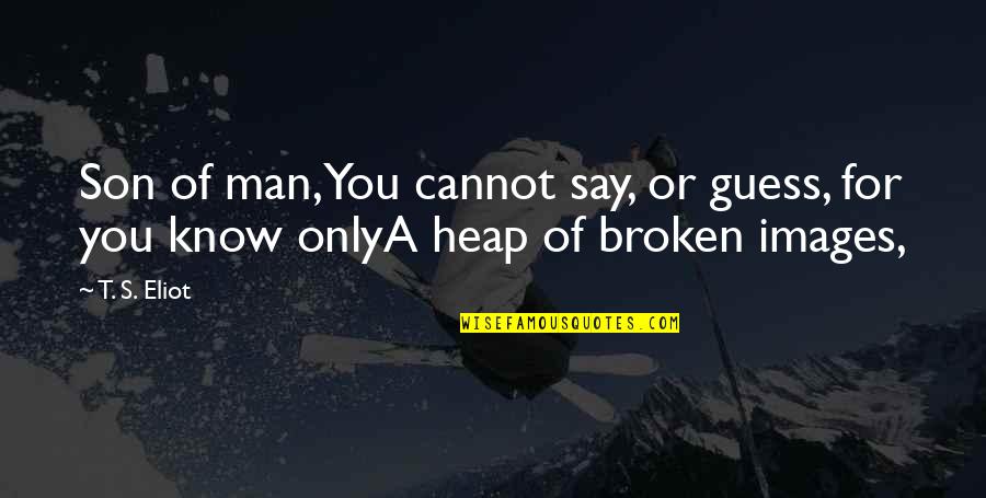 Expuesta Sinonimo Quotes By T. S. Eliot: Son of man,You cannot say, or guess, for
