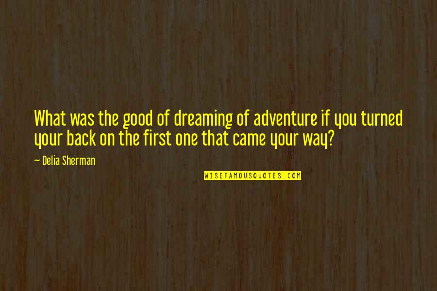 Expunere Dex Quotes By Delia Sherman: What was the good of dreaming of adventure