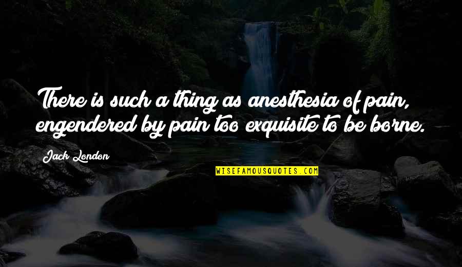 Exquisite Pain Quotes By Jack London: There is such a thing as anesthesia of