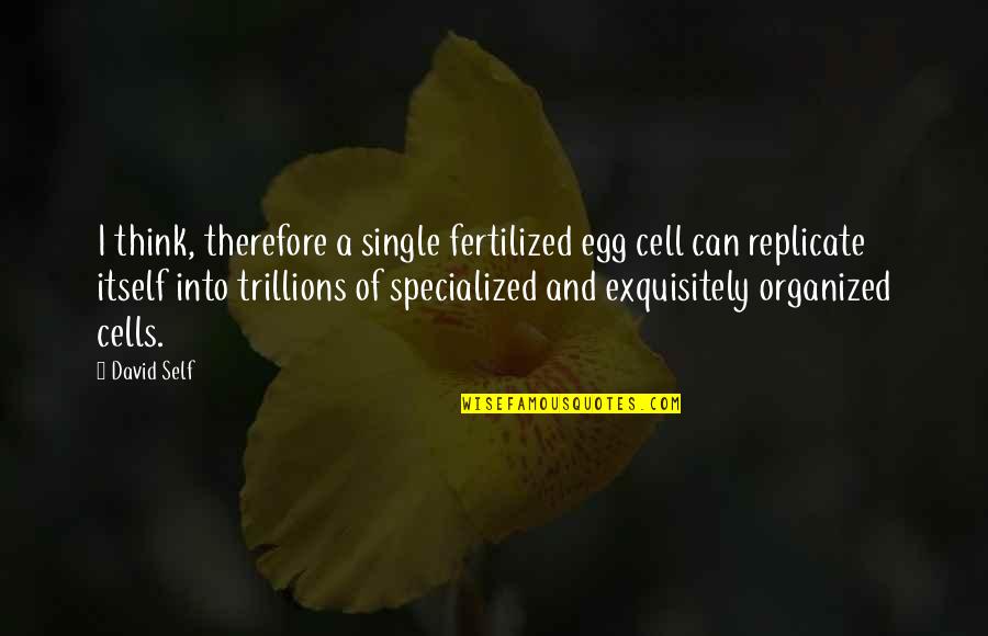 Exquisitely Quotes By David Self: I think, therefore a single fertilized egg cell