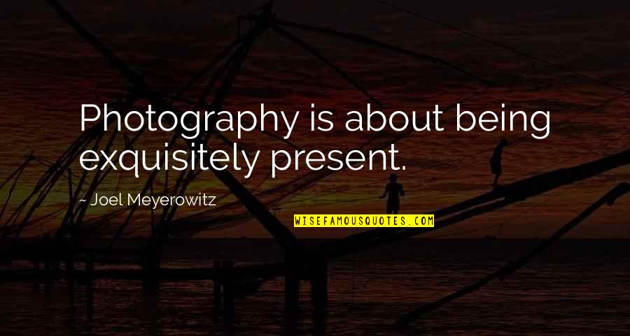 Exquisitely Quotes By Joel Meyerowitz: Photography is about being exquisitely present.