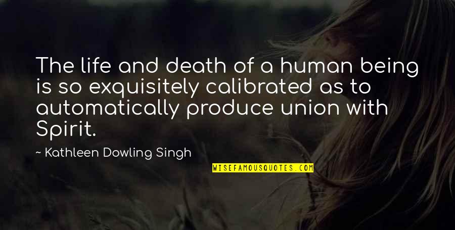 Exquisitely Quotes By Kathleen Dowling Singh: The life and death of a human being