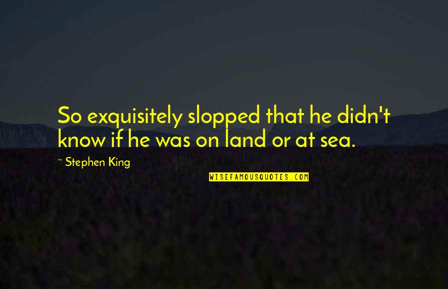 Exquisitely Quotes By Stephen King: So exquisitely slopped that he didn't know if