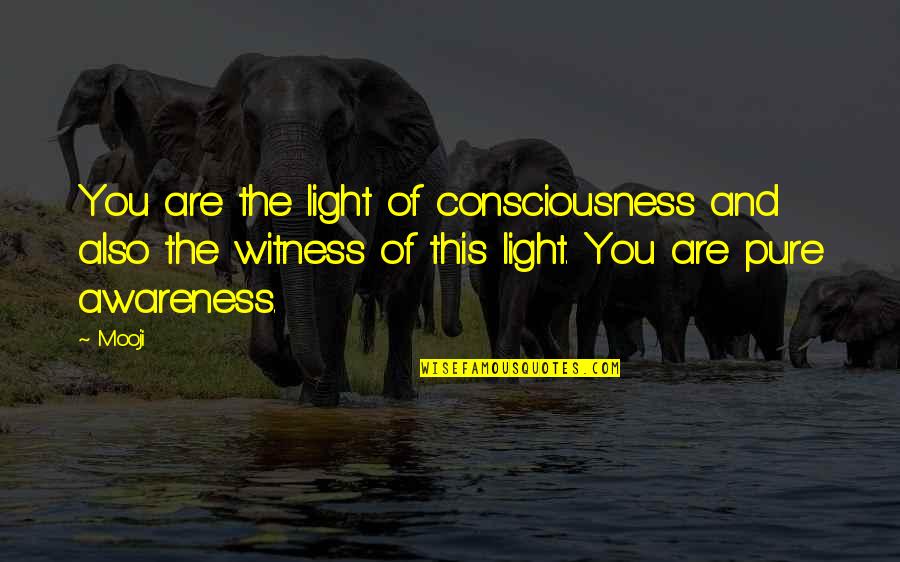 Exsorsuim Quotes By Mooji: You are the light of consciousness and also