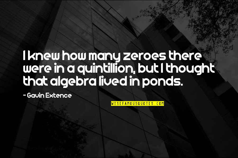 Extence Quotes By Gavin Extence: I knew how many zeroes there were in
