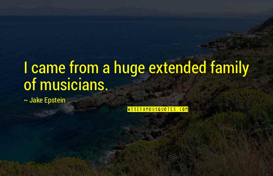 Extended Family Quotes By Jake Epstein: I came from a huge extended family of