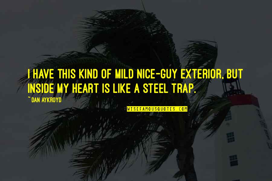 Exterior Quotes By Dan Aykroyd: I have this kind of mild nice-guy exterior,
