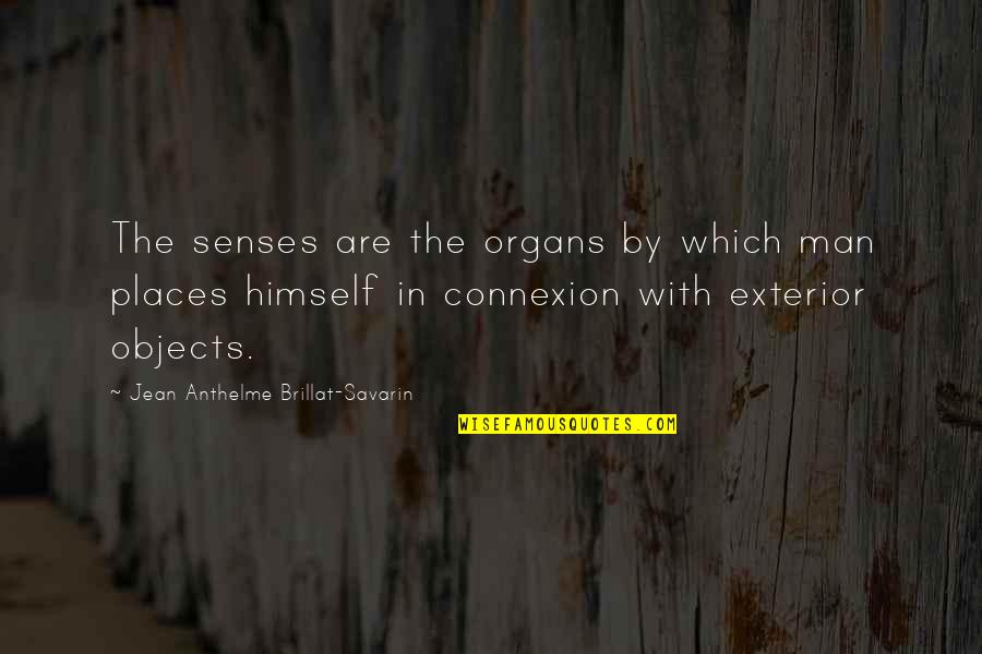 Exterior Quotes By Jean Anthelme Brillat-Savarin: The senses are the organs by which man