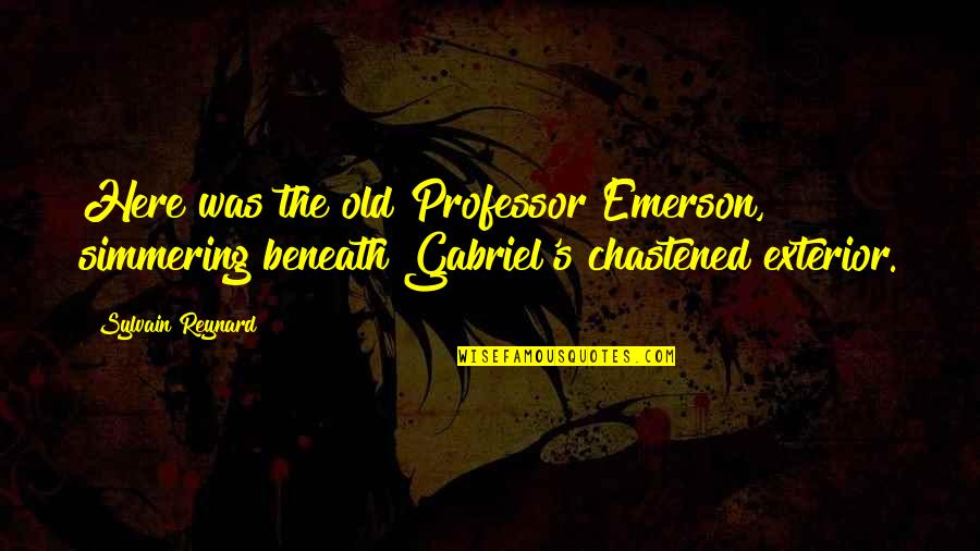 Exterior Quotes By Sylvain Reynard: Here was the old Professor Emerson, simmering beneath